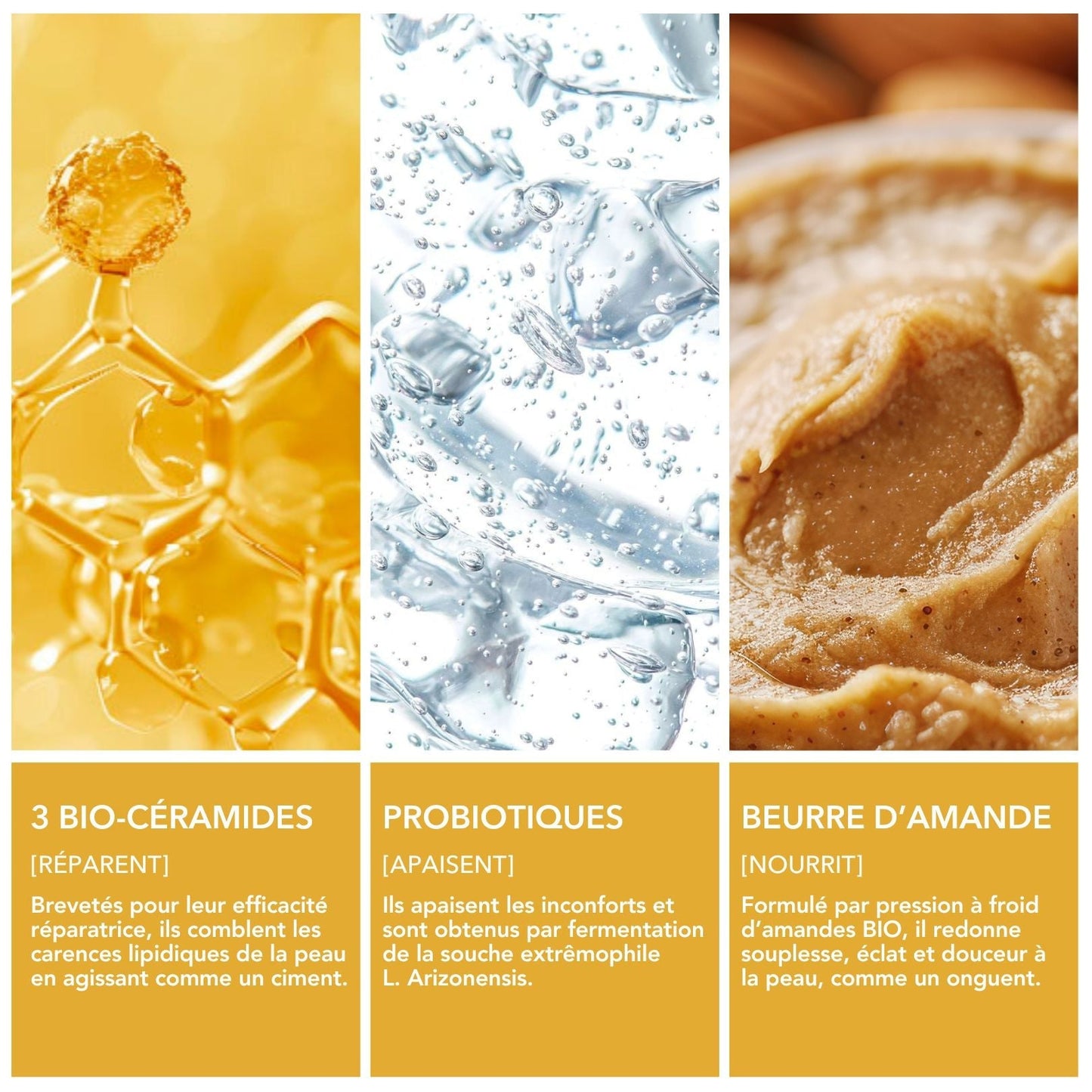 Crème Corps Concentrée