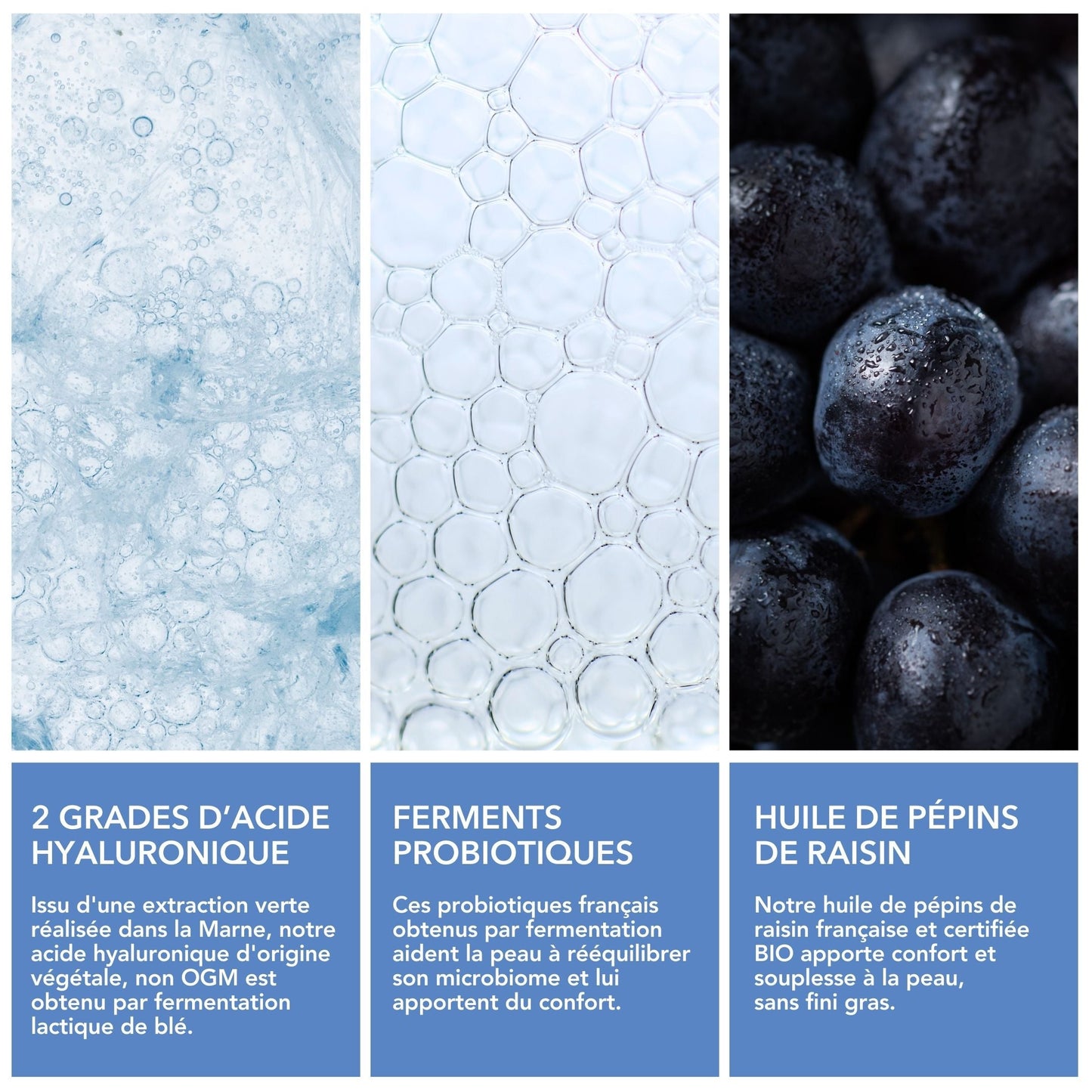 Crème Hydratation Intense à l'Acide Hyaluronique